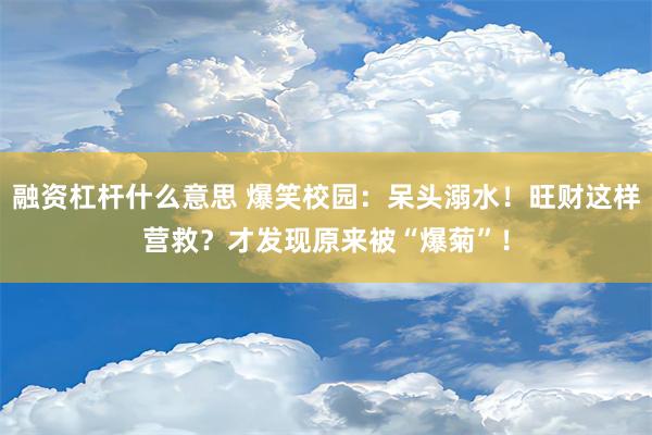 融资杠杆什么意思 爆笑校园：呆头溺水！旺财这样营救？才发现原来被“爆菊”！