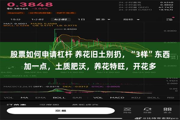股票如何申请杠杆 养花旧土别扔，“3样”东西加一点，土质肥沃，养花特旺，开花多