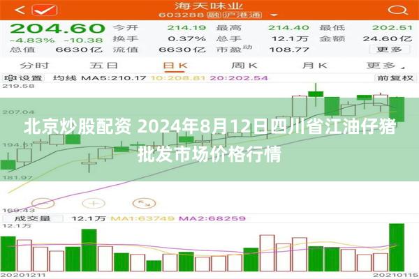 北京炒股配资 2024年8月12日四川省江油仔猪批发市场价格行情