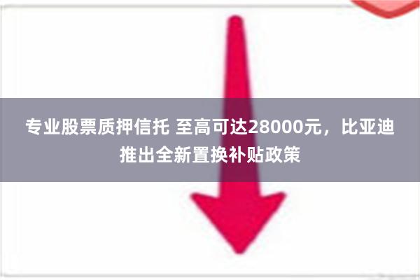 专业股票质押信托 至高可达28000元，比亚迪推出全新置换补贴政策