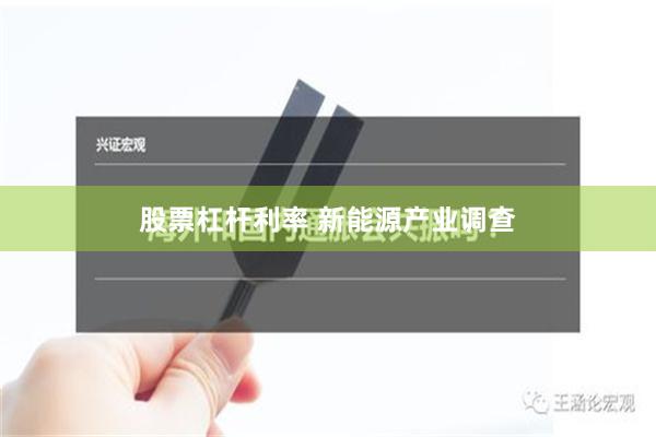 股票杠杆利率 新能源产业调查