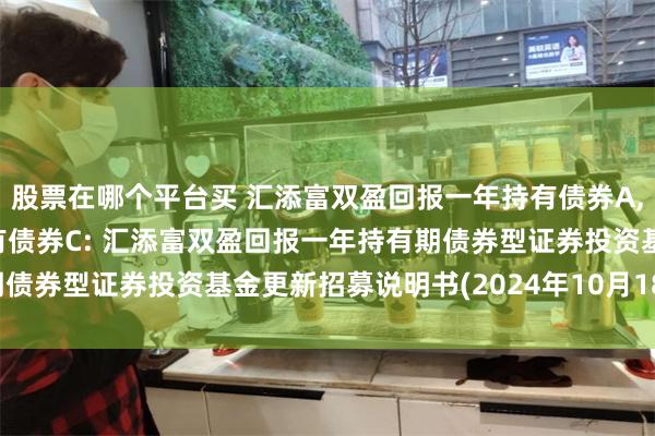 股票在哪个平台买 汇添富双盈回报一年持有债券A,汇添富双盈回报一年持有债券C: 汇添富双盈回报一年持有期债券型证券投资基金更新招募说明书(2024年10月18日更新)