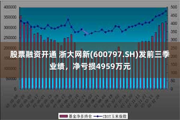 股票融资开通 浙大网新(600797.SH)发前三季业绩，净亏损4959万元