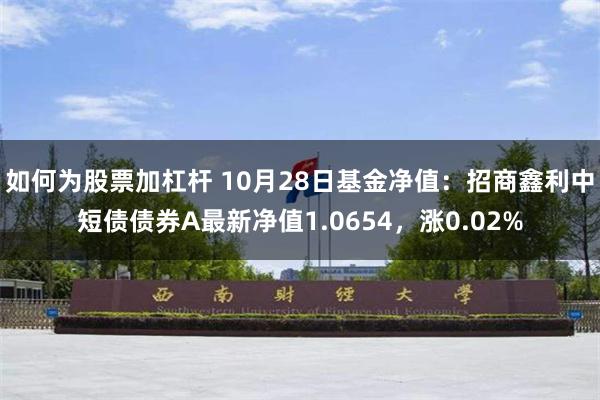 如何为股票加杠杆 10月28日基金净值：招商鑫利中短债债券A最新净值1.0654，涨0.02%