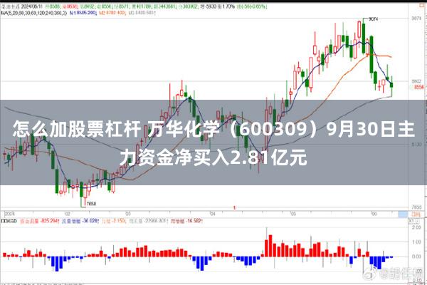 怎么加股票杠杆 万华化学（600309）9月30日主力资金净买入2.81亿元