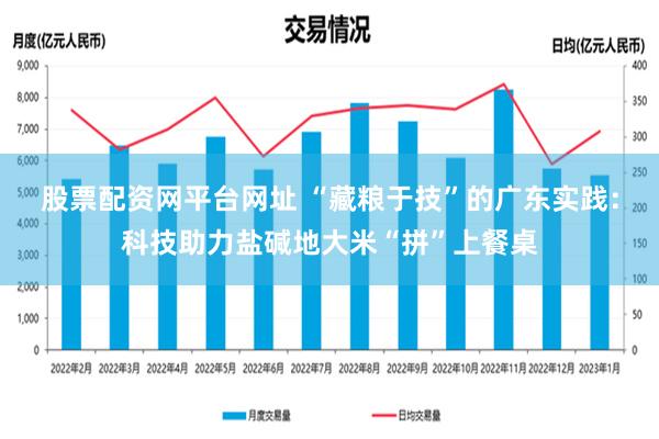 股票配资网平台网址 “藏粮于技”的广东实践：科技助力盐碱地大米“拼”上餐桌