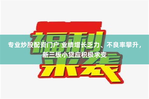 专业炒股配资门户 业绩增长乏力、不良率攀升，新三板小贷应积极求变