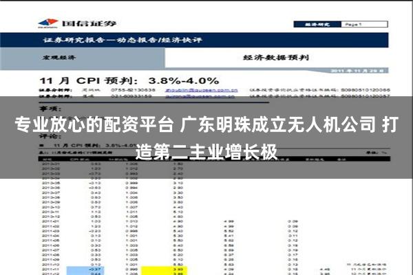 专业放心的配资平台 广东明珠成立无人机公司 打造第二主业增长极