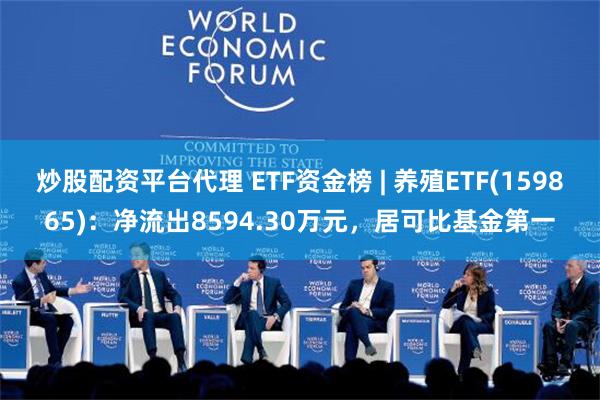 炒股配资平台代理 ETF资金榜 | 养殖ETF(159865)：净流出8594.30万元，居可比基金第一