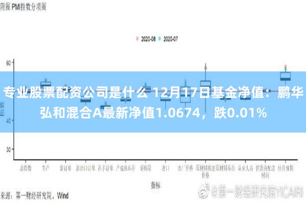 专业股票配资公司是什么 12月17日基金净值：鹏华弘和混合A最新净值1.0674，跌0.01%