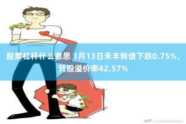 股票杠杆什么意思 1月13日禾丰转债下跌0.75%，转股溢价率42.57%